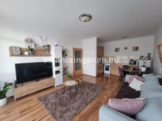 Damjanich lakóparkban 46 m2-es, nappali + 1 szobás, loggiás lakás eladó!