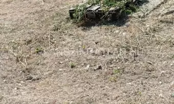 Nyíregyháza Hímes városrészben építési telek eladó!